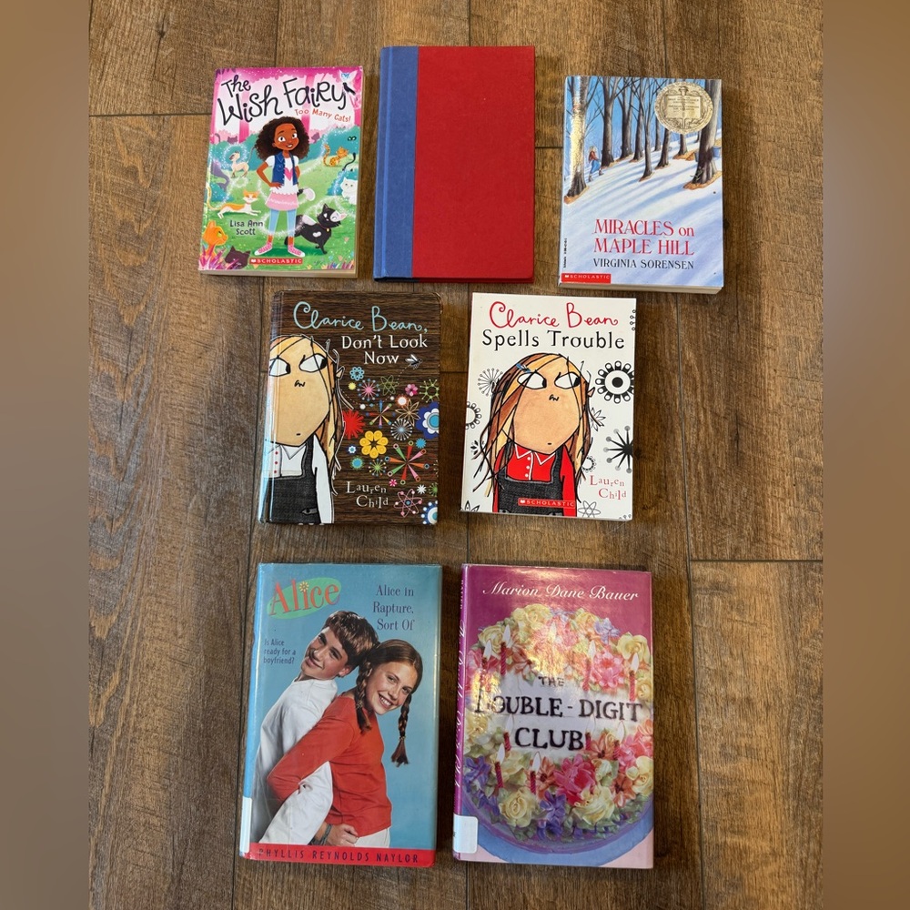 Bundle of Young Adult Books - Summer Reading - 7 Books